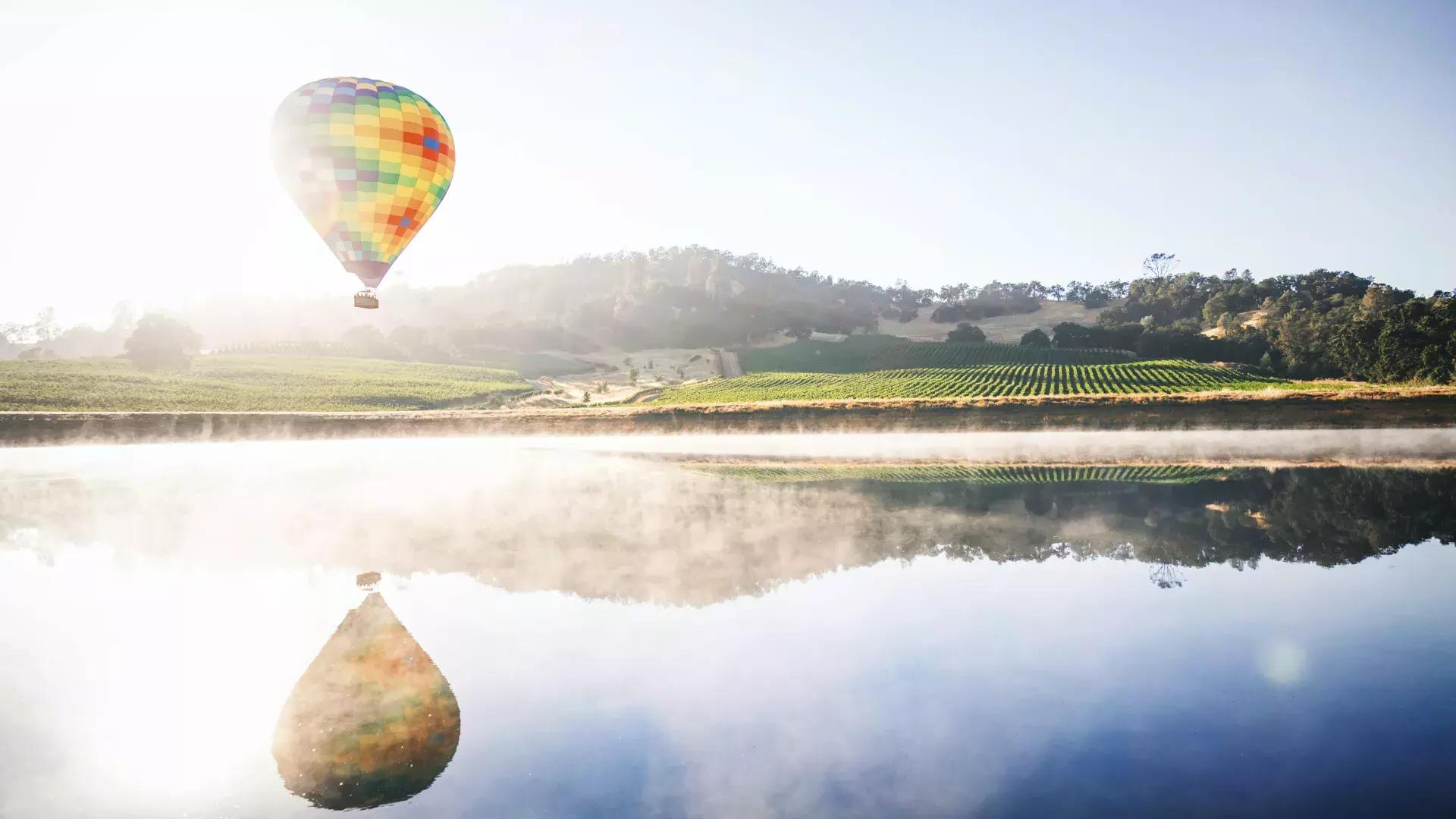 气球漂浮在葡萄园上空.